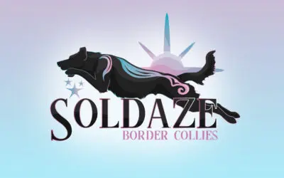 Soldaze Sublime Polo