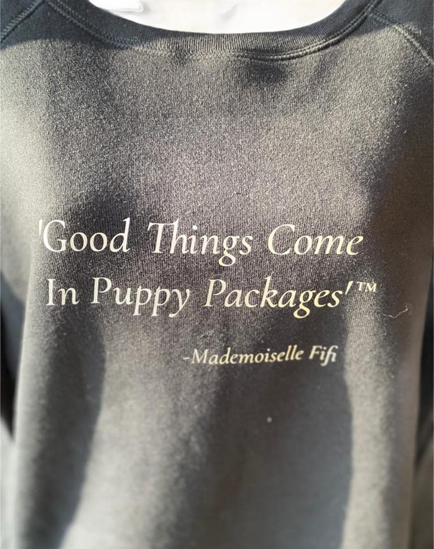 Mademoiselle Fifi -Black - Womens Bella Sponge Fleece Wideneck Sweatshirt - Good Things Come In Puppy Packages 4-